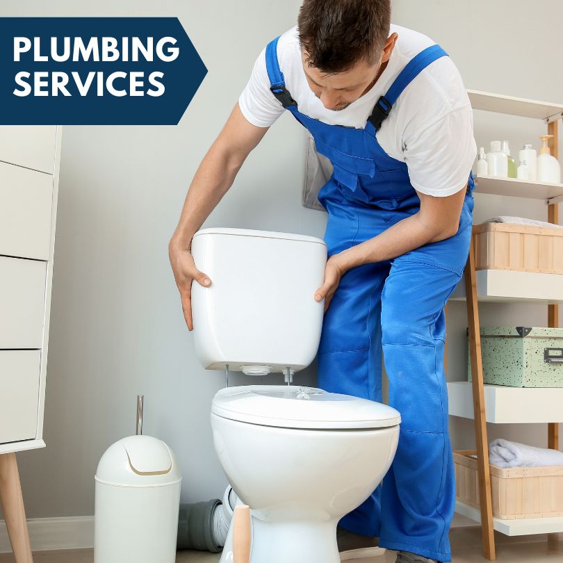 Plumbing Company in Gaylord, MN